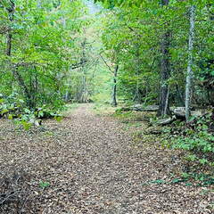 22-09-10 16-21-15 1938